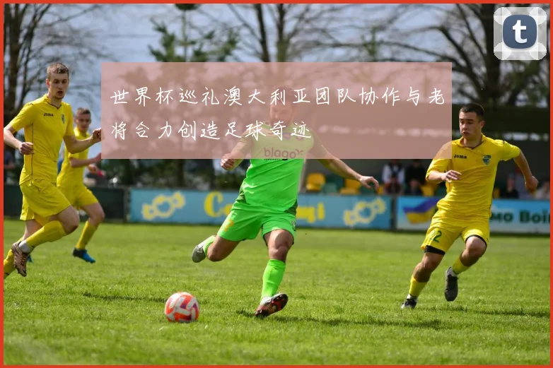 世界杯巡礼澳大利亚团队协作与老将合力创造足球奇迹