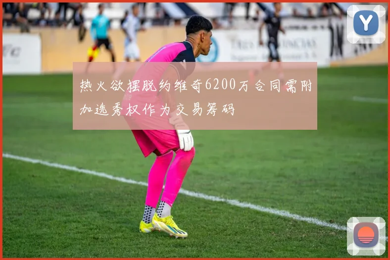 热火欲摆脱约维奇6200万合同需附加选秀权作为交易筹码